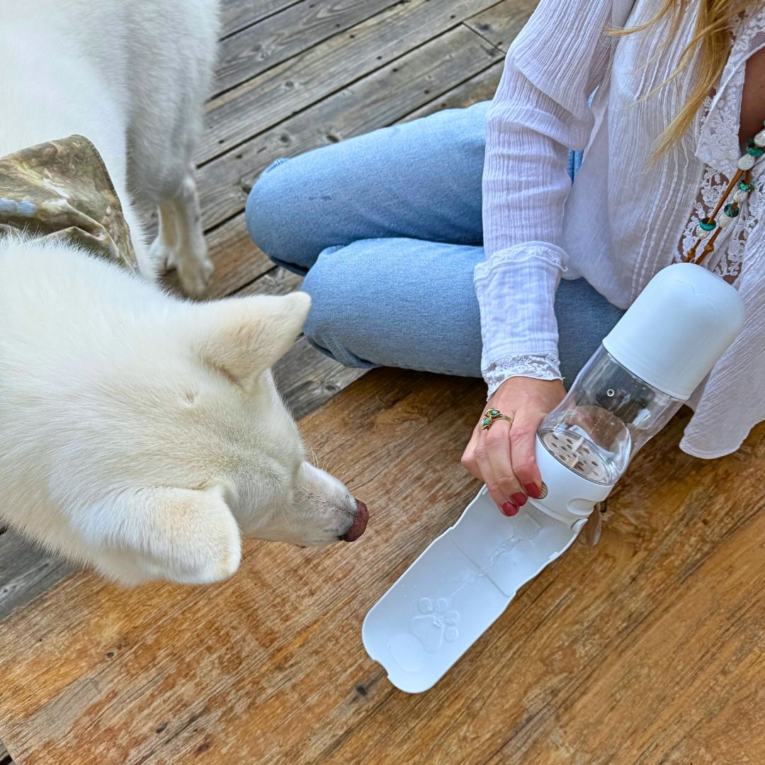 PetSip Travel Dog Water Bottle with Treat Holder – Leakproof & BPA-Free 350mL